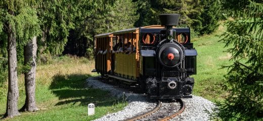 Voľná pracovná pozícia: Rušňovodič