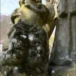 Detail súsošia.
