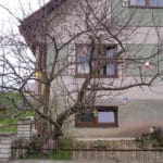 fotografia zdobenia stromov počas veľkonočných sviatkov.