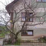 fotografia zdobenia stromov počas veľkonočných sviatkov.