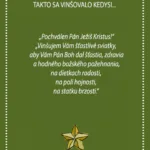 Vianočný vinš - grafika.