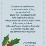 Vianočný vinš - grafika.