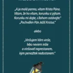 Vianočný vinš - grafika.