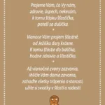 Vianočný vinš - grafika.