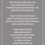 Vianočný vinš - grafika.