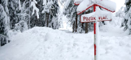 Oravská lesná železnica až do odvolania zatvorená