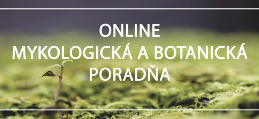 Online mykologická a botanická poradňa