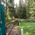 Fotografia znázorňujúca situáciu na Oravskej Lesnej železnici počas búrkovej kalamity.
