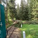 Fotografia znázorňujúca situáciu na Oravskej Lesnej železnici počas búrkovej kalamity.