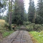 Fotografia znázorňujúca situáciu na Oravskej Lesnej železnici počas búrkovej kalamity.
