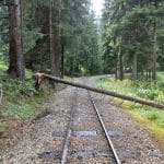Fotografia znázorňujúca situáciu na Oravskej Lesnej železnici počas búrkovej kalamity.