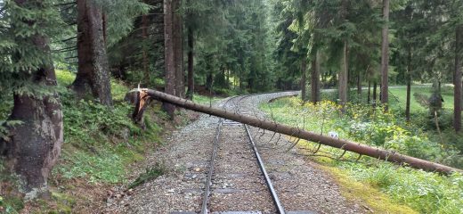 Búrková kalamita na Oravskej lesnej železnici spôsobila zatvorenie prevádzky