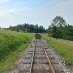 Fotografia znázorňujúca situáciu na Oravskej Lesnej železnici počas búrkovej kalamity.