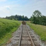 Fotografia znázorňujúca situáciu na Oravskej Lesnej železnici počas búrkovej kalamity.