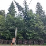 Fotografia znázorňujúca situáciu na Oravskej Lesnej železnici počas búrkovej kalamity.