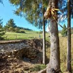 Záber na zrekonštruovaný úsek trate Oravskej Lesnej železnice.