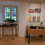 Fotografie zobrazujúce priestory výstavy Život je krásny