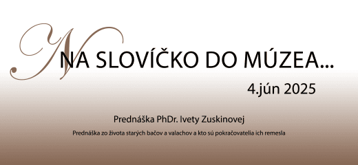 Na slovíčko do múzea