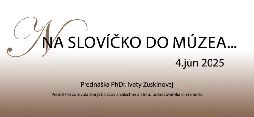 Na slovíčko do múzea
