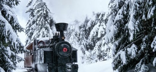 Temporary Closure of the Orava Forest Railway on January 16, 2026