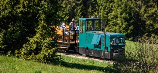 Announcement of the Opening of the Orava Forest Railway (11–12 April 2026)