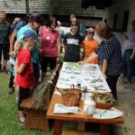 Fotografia z podujatia "Byliny a huby 2019". 2