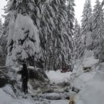 Odstraňovanie snehu s stromov spadnutých na trať Oravskej lesnej železnice.