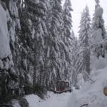 Odstraňovanie snehu s stromov spadnutých na trať Oravskej lesnej železnice.