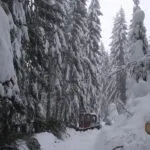 Odstraňovanie snehu s stromov spadnutých na trať Oravskej lesnej železnice.