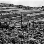 Odvoz sena v Zákamennom v prvej polovici 20. storočia