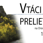 vtáci-prelietaví-banner