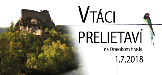 Vtáci prelietaví na Oravskom hrade