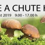 Banner k podujatiu "Vôňe a chute húb 2019"